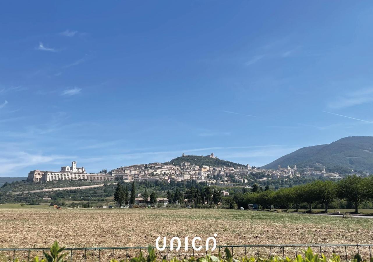 Unica Assisi Agri-Charming House Villa Екстериор снимка